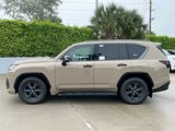New 2025 Lexus LX 700h Overtrail image 4