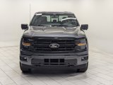 New 2025 Ford F150 XLT w/ Equipment Group 302A MID image 3