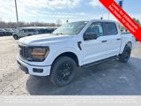 New 2025 Ford F150 STX w/ STX Black Appearance Package image 3