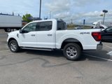 New 2025 Ford F150 XLT image 4