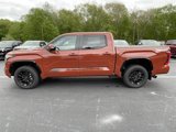New 2025 Toyota Tundra Platinum image 3