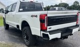 New 2025 Ford F250 Platinum image 6