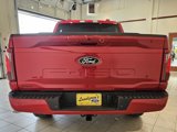 New 2025 Ford F150 XLT w/ Equipment Group 302A MID image 4