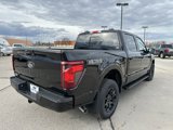 New 2025 Ford F150 XLT w/ Equipment Group 302A MID image 5