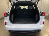 Used 2023 Ford Escape ST-Line image 6