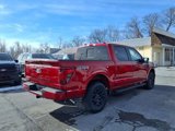 New 2025 Ford F150 XLT w/ Equipment Group 302A MID image 3