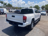 Used 2019 Toyota Tacoma SR w/ SR Convenience Package image 4