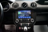 Used 2022 Ford Mustang Coupe w/ Equipment Group 101A image 6