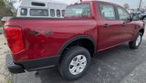 New 2025 Ford Ranger XL image 6