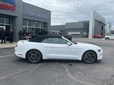Used 2022 Ford Mustang Premium image 4