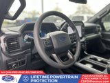 Certified 2025 Ford F150 STX w/ Equipment Group 200A image 2