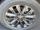 New 2025 Toyota Land Cruiser image 5