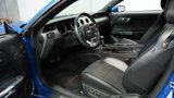 Used 2020 Ford Mustang GT Premium w/ Enhanced Security Package image 4