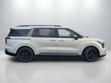 New 2025 Kia Carnival SX Prestige image 3