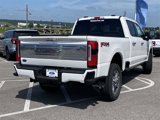 New 2025 Ford F250 Platinum image 4