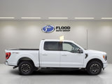 Used 2023 Ford F150 XLT w/ Equipment Group 302A High image 3