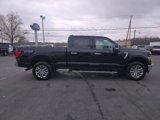 New 2024 Ford F150 XLT w/ Equipment Group 303A High image 5
