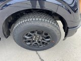 New 2025 Ford F150 XLT w/ Equipment Group 302A MID image 2