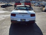 Used 2024 Ford Mustang Premium image 6