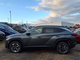 Certified 2025 Hyundai Tucson SEL image 4