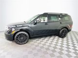 New 2025 Hyundai Santa Fe Calligraphy image 4