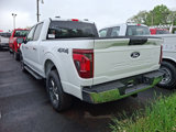 New 2025 Ford F150 XLT w/ Equipment Group 301A Standard image 3