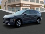 New 2026 Hyundai Ioniq 9 SE image 2