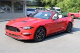 Used 2020 Ford Mustang Premium image 5