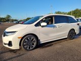 New 2026 Honda Odyssey Elite image 3