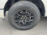 Used 2024 Ford F150 XLT w/ Equipment Group 302A MID image 4