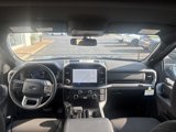 New 2025 Ford F150 XLT image 2