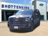 New 2025 Ford Expedition Platinum image 3