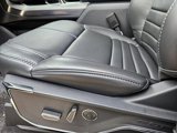 New 2025 Ford F150 Platinum w/ Equipment Group 702A High image 4