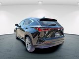 New 2026 Lexus NX 350 AWD w/ Premium Package image 5