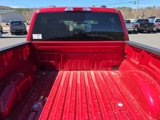 New 2025 Ford F150 STX image 5