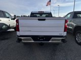 New 2025 Chevrolet Silverado 1500 W/T w/ WT Safety Package image 4