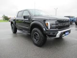 New 2025 Ford F150 Raptor image 3