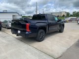New 2025 Toyota Tundra Platinum image 4