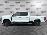 New 2025 Ford F250 XL w/ STX Appearance Package image 2