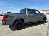 New 2025 Ford F150 XLT image 4