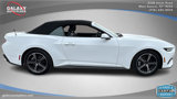 Used 2024 Ford Mustang Premium image 4