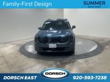 New 2026 Kia Carnival SX image 2
