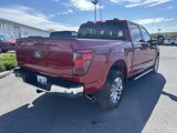 New 2025 Ford F150 XLT w/ Equipment Group 303A High image 3