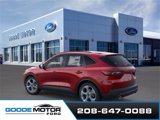 New 2025 Ford Escape ST-Line Elite w/ Tech Pack #1 image 4