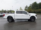 Certified 2022 Ford F150 Tremor w/ Equipment Group 402A High image 3