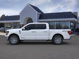 New 2025 Ford F150 XLT w/ Equipment Group 303A High image 3