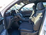 New 2025 Hyundai Palisade Calligraphy image 5