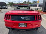 Used 2019 Ford Mustang Premium image 5