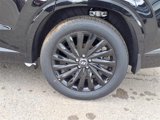 New 2025 Hyundai Palisade Calligraphy image 5
