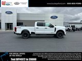 New 2025 Ford F250 XL w/ STX Appearance Package image 3